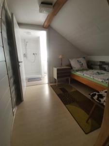 1 dormitorio con 1 cama y baño con ducha en GästeZimmer im Altbau Dachgeschoss mit kleinem Bad WLAN, TV und Parkplatz en Lachen