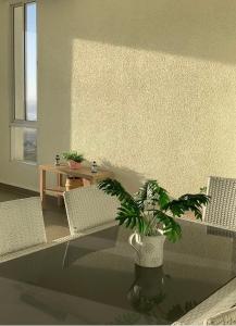 une plante dans un pot dans une pièce avec des chaises dans l'établissement Departamento La Serena, Laguna del Mar, Vista Privilegiada, à La Serena