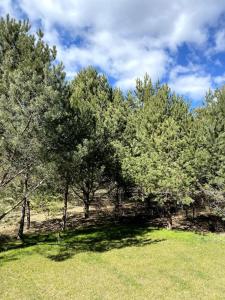 גינה חיצונית ב-Bella luna vila Palanga with forest view