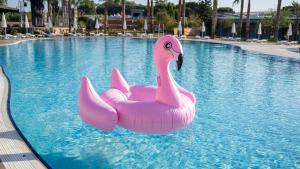Bazén v ubytování Amon Hotels Belek - Adult Only nebo v jeho okolí