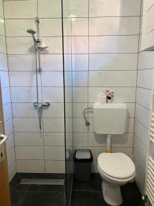 y baño con aseo y ducha. en Extraordinary apartment in Terme Banovci spa resort, en Veržej