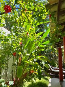 uma planta com flores vermelhas num jardim em Casa da Beatriz em Trancoso