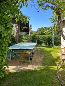 una mesa de ping pong en un patio en Ferienwohnung Familie Petschel, en Kurort Jonsdorf
