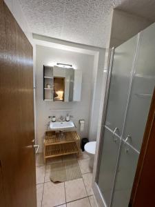 uma casa de banho com um lavatório, um WC e um chuveiro em Cosy em Lausanne