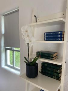 a vase with a flower on a shelf with books at Tagoo Vama Veche in Vama Veche