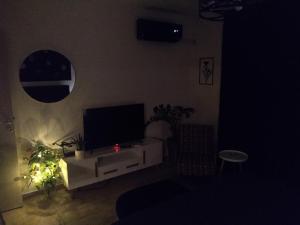 TV a/nebo společenská místnost v ubytování Apartman_Park