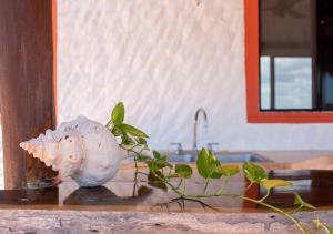 Fotografie z fotogalerie ubytování Villa Los Mangles Boutique Hotel v destinaci Ostrov Holbox