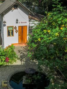 Zahrada ubytování Finca Los Abuelos - La Planta
