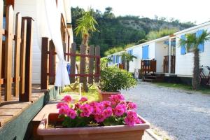 una maceta de flores rosas al lado de una casa en Camping Norina, en Pesaro