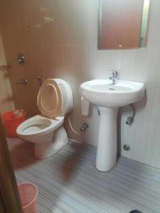 a bathroom with a toilet and a sink at Serdung Guest House in Leh +34 photos