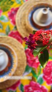una flor sentada sobre una mesa colorida en Paracuru Kitefriends Lux Pousada, en Paracuru