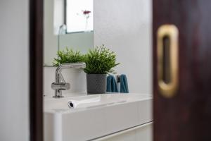 Φωτογραφία από το άλμπουμ του Playa Marina Eco Bungalow Mala σε Arrieta +14 φωτογραφίες