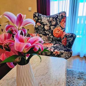 Posezení v ubytování Tara Apartmani Malešević - 1