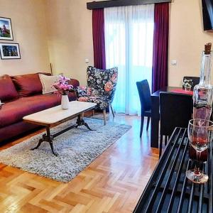 Posezení v ubytování Tara Apartmani Malešević - 1