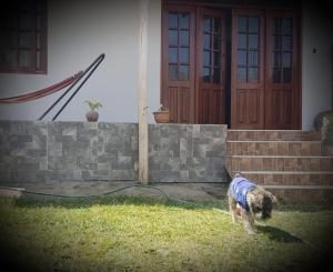 Gallery image of Lunahuaná CASA DE CAMPO PAULLU in Lunahuaná