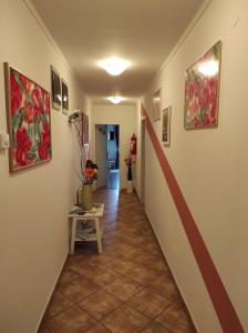 Fotografie z fotogalerie ubytování Apartments and Rooms PUNTA v destinaci Umag