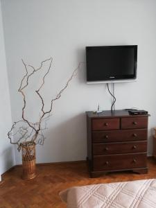 1 dormitorio con TV en la pared y vestidor en Апартамент за гости, гр. Габрово - Център, en Gabrovo