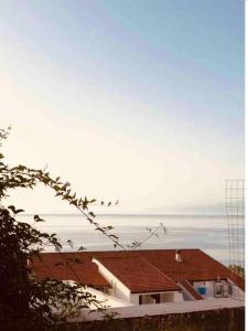 oPENhouse - loft - casa al mare في بيتسو: منزل بسقف احمر ومحيط في الخلفية