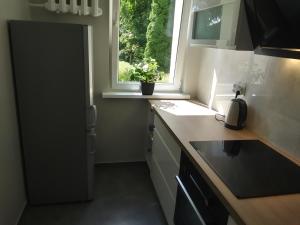 a kitchen with a sink and a window with a plant at Przytulne mieszkanie przy parku Modrzewie in Elblag