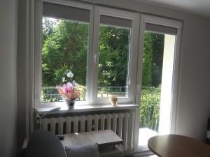 a window with a vase of flowers on a window sill at Przytulne mieszkanie przy parku Modrzewie in Elblag