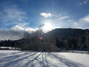 Paesaggio naturale nelle vicinanze dell'affittacamere