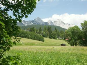 Paesaggio naturale nelle vicinanze dell'affittacamere