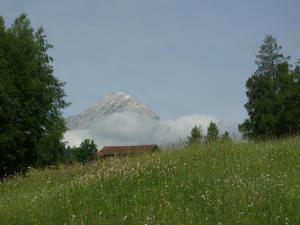 Paesaggio naturale nelle vicinanze dell'affittacamere