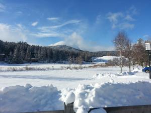 Gasthof Ramona durante l'inverno