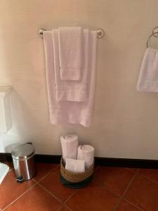 a bathroom with towels and a basket of toilet paper at Casa del Manchén in Antigua Guatemala
