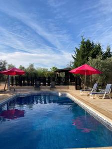 a swimming pool with two umbrellas and chairs at Casa Rural Entreolivos in Villarrubia de los Ojos