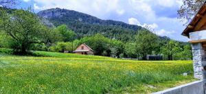 a field of yellow flowers in front of a house at Auberge de Sauze in Sauze
