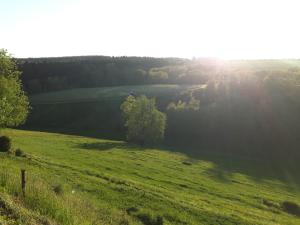 Photo de la galerie de l'établissement L'Harmonie du Jardin Gîte, à Chevetogne