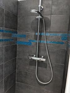 a shower with a shower head in a bathroom at Chambre double indépendante AVIATEUR au sein du domaine PASSELOUP in Liergues