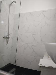 a bathroom with a shower and a sink at Porteño 7 Hospital Italiano in Buenos Aires +18 photos