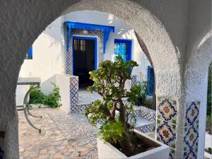 Gallery image of OLIVIA Guest House (Eya & Abbes) in Sidi Bou Saïd +15 photos