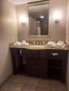uma casa de banho com um lavatório e um espelho em Inn On The Green Florida em Tavares