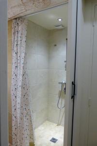 a bathroom with a shower with a shower curtain at L'Atelier d'André in Beaumes-de-Venise