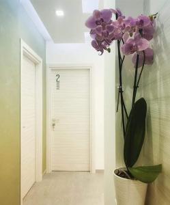 Fotografie z fotogalerie ubytování B&B Barù v destinaci Agropoli