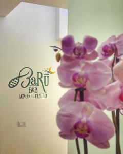 Fotografie z fotogalerie ubytování B&B Barù v destinaci Agropoli
