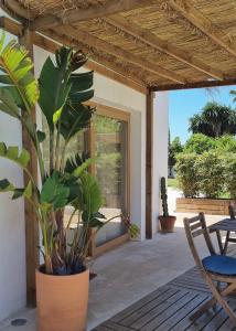 a patio with a chair and a potted plant at Eco Finca Sa Becadeta in Llucmajor