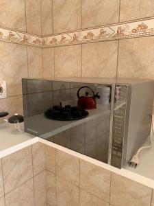 アパレシーダにあるCasa Completa com 03 quartos a um quarteirão da Basílica Nacionalの電子レンジ、ポット