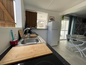 a kitchen with a sink and a white refrigerator at Appartement Frégate de la Pointe in Le Robert