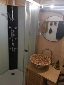 La salle de bains est pourvue d'un lavabo et d'une douche avec un miroir. dans l'établissement Appartement L'escale, plage à 30m., à Port-Leucate