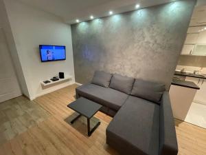 - un salon avec un canapé et une télévision murale dans l'établissement New Sky Terrace, à Belgrade