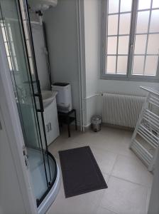 uma casa de banho com uma cabina de duche em vidro e um lavatório. em O'Couvent - Appartement 77 m2 - 2 chambres - A321 em Salins-les-Bains