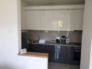 Кухня або міні-кухня у Apartman N&N