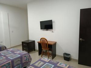 TV a/nebo společenská místnost v ubytování Hotel Romo