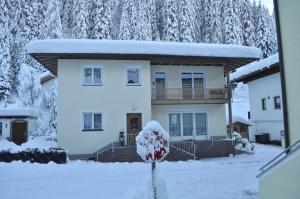 Ferienwohnung Dolomitenheim v zime