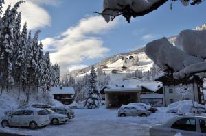 Ferienwohnung Dolomitenheim v zime