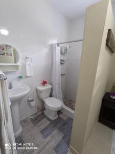 uma casa de banho branca com um WC e um lavatório em Paraiso Hortensia Ecolodge em Santiago de los Caballeros